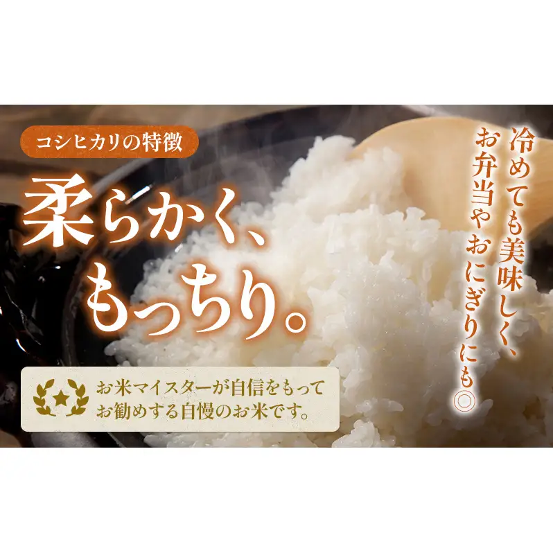 【令和7年産】静岡県産米 こしひかり 5kg 川島米穀店 お米 精米 こめ ご飯 白米 静岡 浜松市