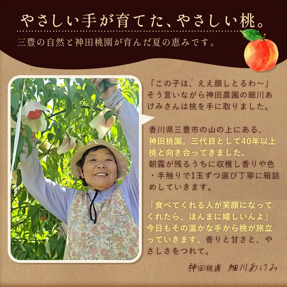 【ふるさと納税】 桃 産地直送 「神田桃園の白桃」 約3kg  [ フルーツ 名産品 桃 もも モモ 白桃 果物 くだもの お取り寄せグルメ 三豊市 20000 20, 返礼品 神田桃園 ] ※配送不可地域：北海道・沖縄県・離島
