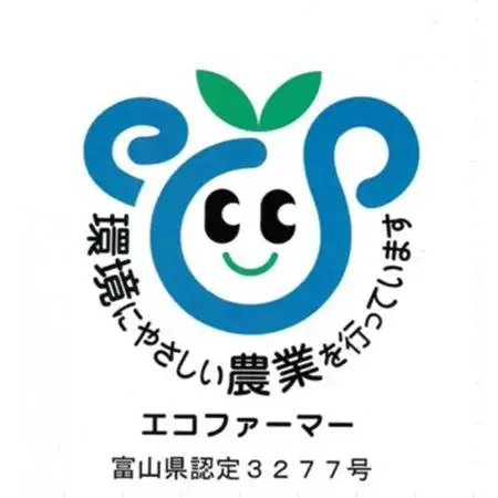 栽培期間中農薬・化学肥料不使用　こしひかり　白米 5kg×2袋(10kg)【1735137】