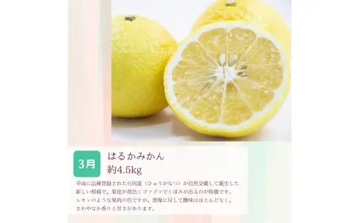 定期便全3回 【2月・3月・4月発送】 和歌山の春の柑橘 （ポンカン・はるか・ブラッドオレンジ）秀品【TM-tkb452】 