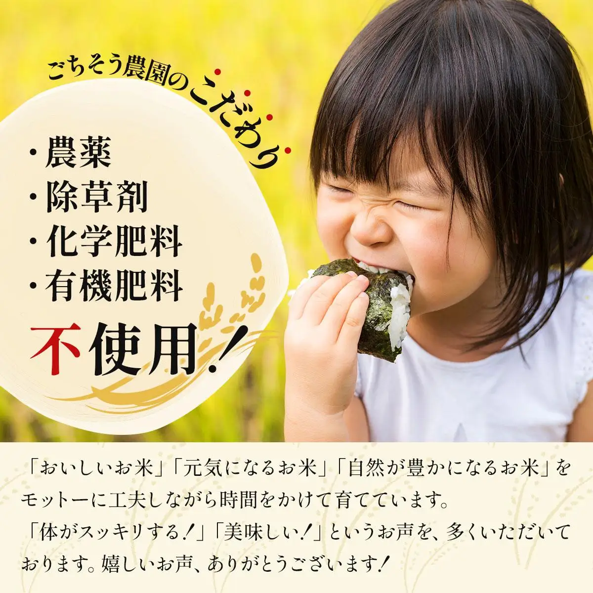 農薬・除草剤・肥料不使用 自然栽培米 令和7年度産ヒノヒカリ 白米 3kg