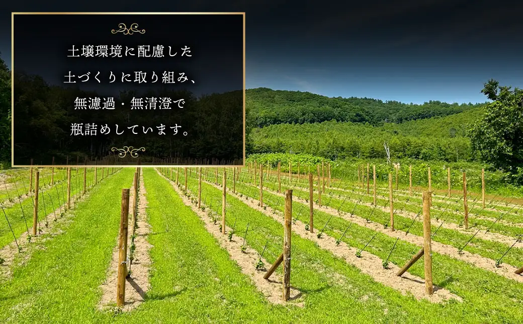 白ワイン Kamisato blanc 2024 ／ オレンジワイン 山麓のアンバー Pinot Gris 2024 750ml 各1本 計2本 ワイン お酒 酒 アルコール 洋酒 ぶどう 葡萄 ブドウ 飲み比べ セット