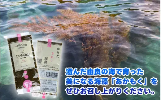 ［由良町産］ 紀州 あかもく 由良町産 100g×7パック 2026年産/ 海藻 フコイダン もずく 【sml214-100-7】 