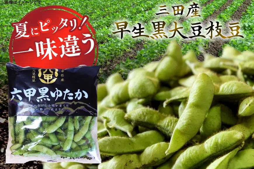 枝豆 黒大豆 六甲黒ゆたか (早生黒大豆枝豆) 1.8kg 2026年7月前半～2026年8月前半発送 [パスカルさんだ 兵庫県 三田市 3d28bae660038]