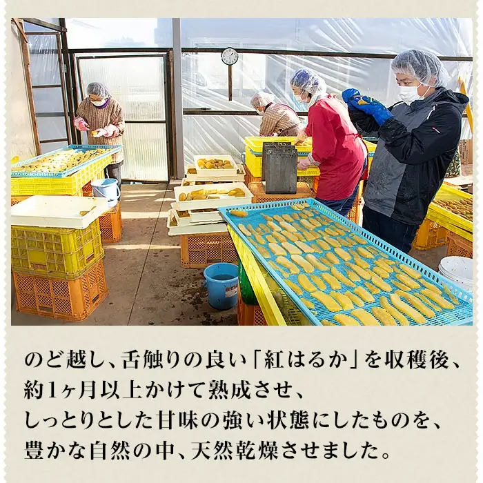 755 平干し3袋 干し芋 900g 熟成 クール 冷蔵 無添加 無着色 300g 小分け 茨城県産 紅はるか