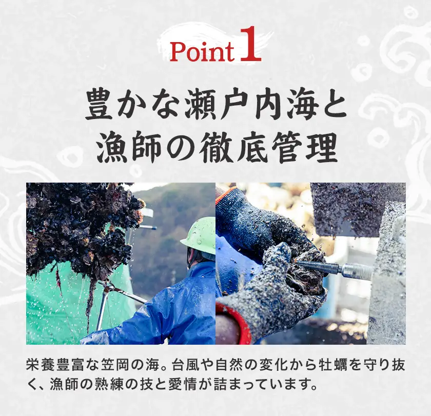 笠岡産 牡蠣 TAKIOKAプレミアム カルチ式 (加熱用) 3kg 牡蠣