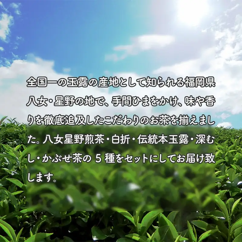 八女星野茶詰合せ【C-134】