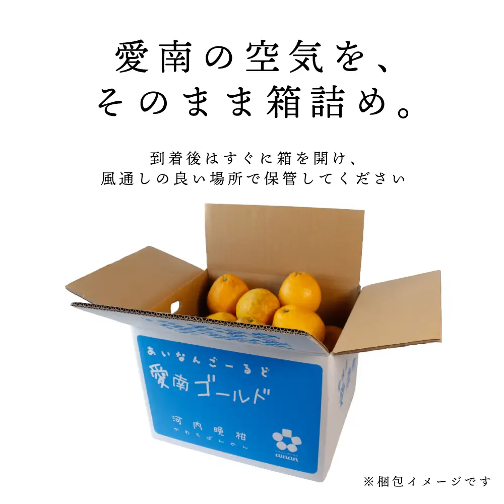 訳あり 愛南ゴールド（河内晩柑） 9kg  (大玉)サイズ3L  愛媛県 みかん 石川ファーム