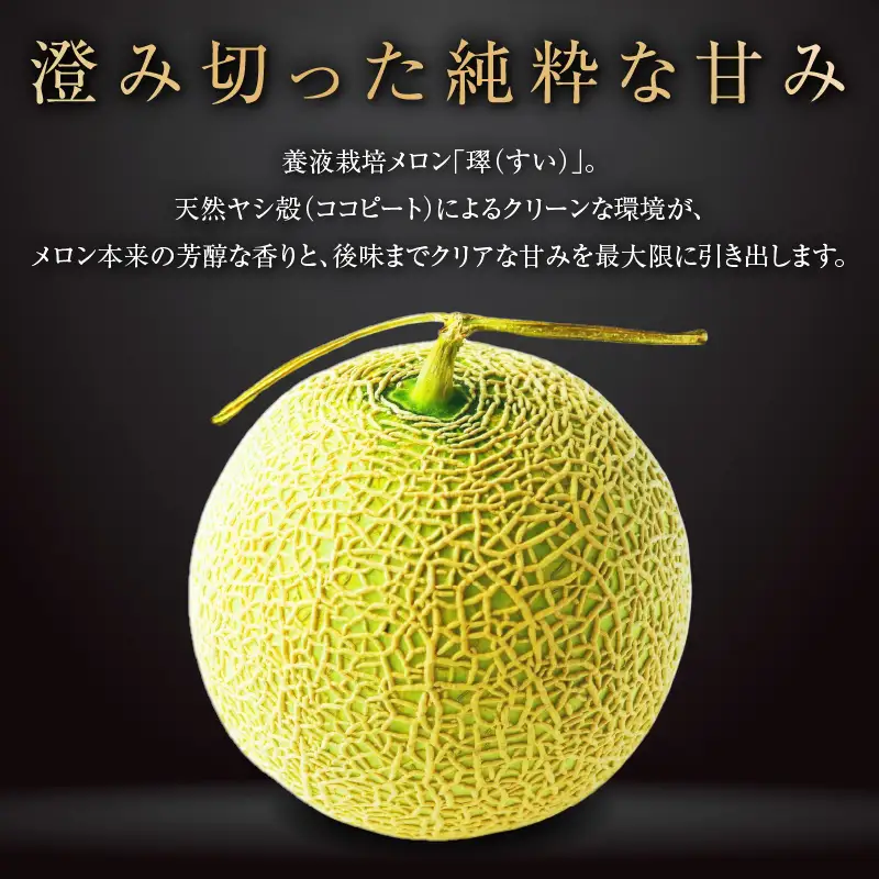 【お中元 外熨斗(短冊) 対応可能】養液栽培メロン「璻」1玉【Special】（糖度14度以上、重さ1.3㎏以上）【熨斗対応可能】