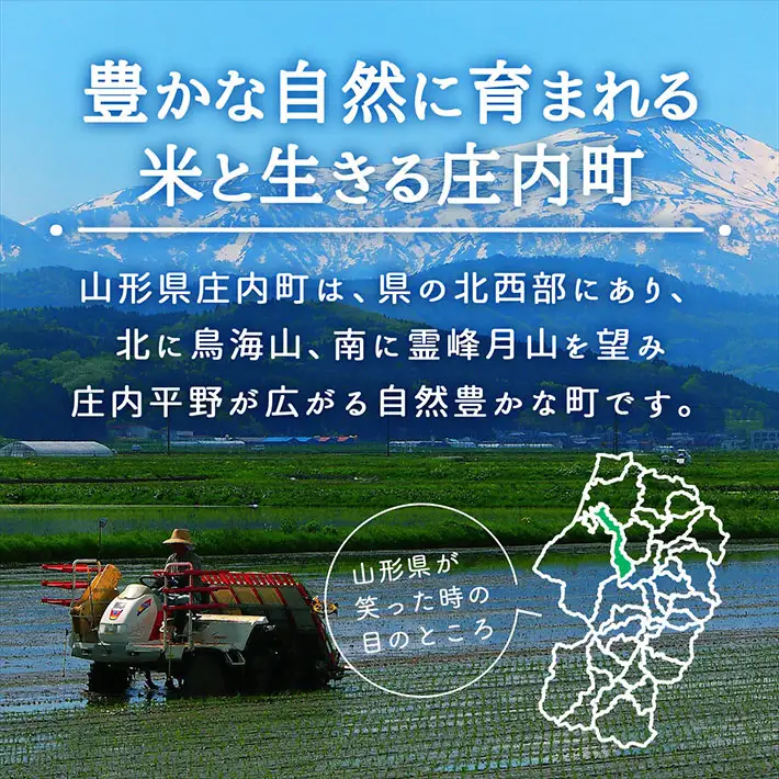【新米受付】令和8年産 特別栽培米 つや姫 5kg 石垣農園 5kg×1袋 2026年産 ブランド米 米 国産 単一原料米 山形 庄内平野 コシヒカリの原点、亀の尾発祥の地 庄内【R8.10月以降発送開始/入金期限：2026年9月15日】