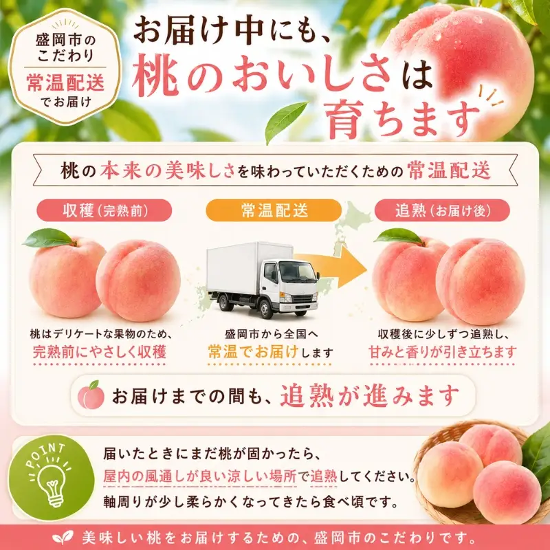 【先行予約】 桃あかつき約1.7kg(5~7個)【8月上旬～順次発送】【asashima001】