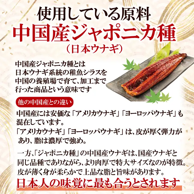 うなぎ 訳あり 1尾 計300g以上 うなぎ 【ho1684】