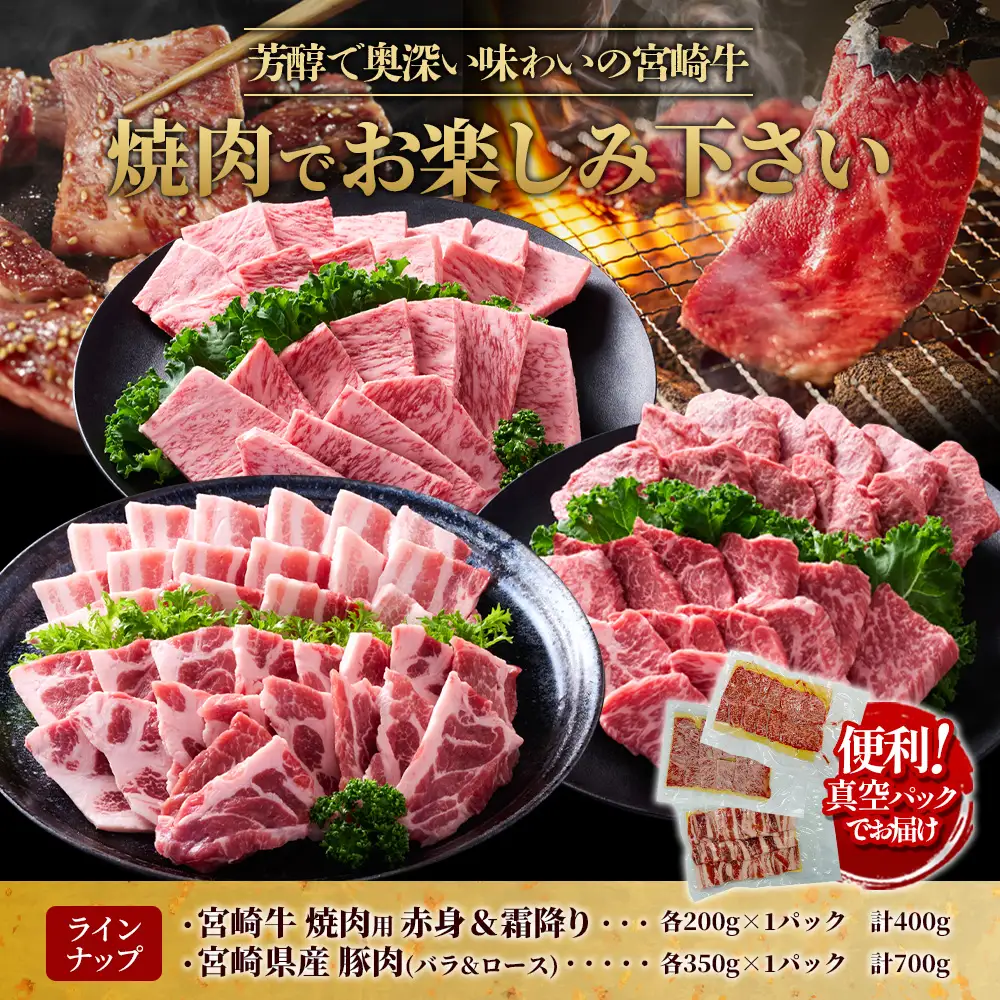 【宮崎牛・豚】焼肉食べ比べ 1.1kg (牛400g/豚700g) 真空パック 冷凍 小分け