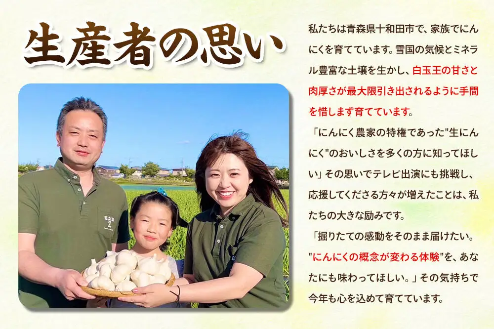 先行受付【テレビ紹介】青森 幻の生にんにく13玉（農家直送・収穫期だけの限定品） 青森にんにくファーム