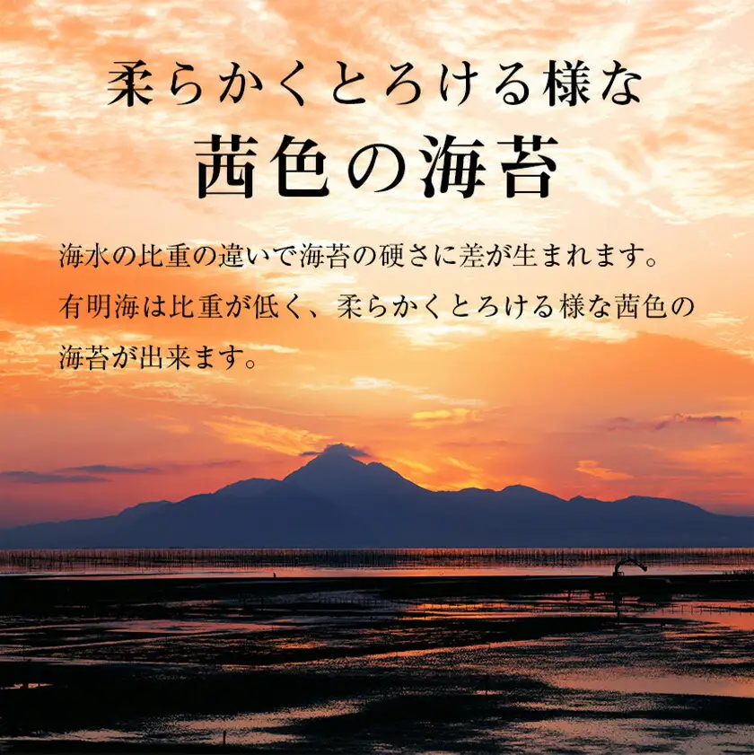 訳あり 有明海産 焼き海苔 全形50枚【福岡有明のり】 送料無料 《30日以内に出荷予定(土日祝除く)》福岡県 鞍手郡 鞍手町 たっぷり 親和園