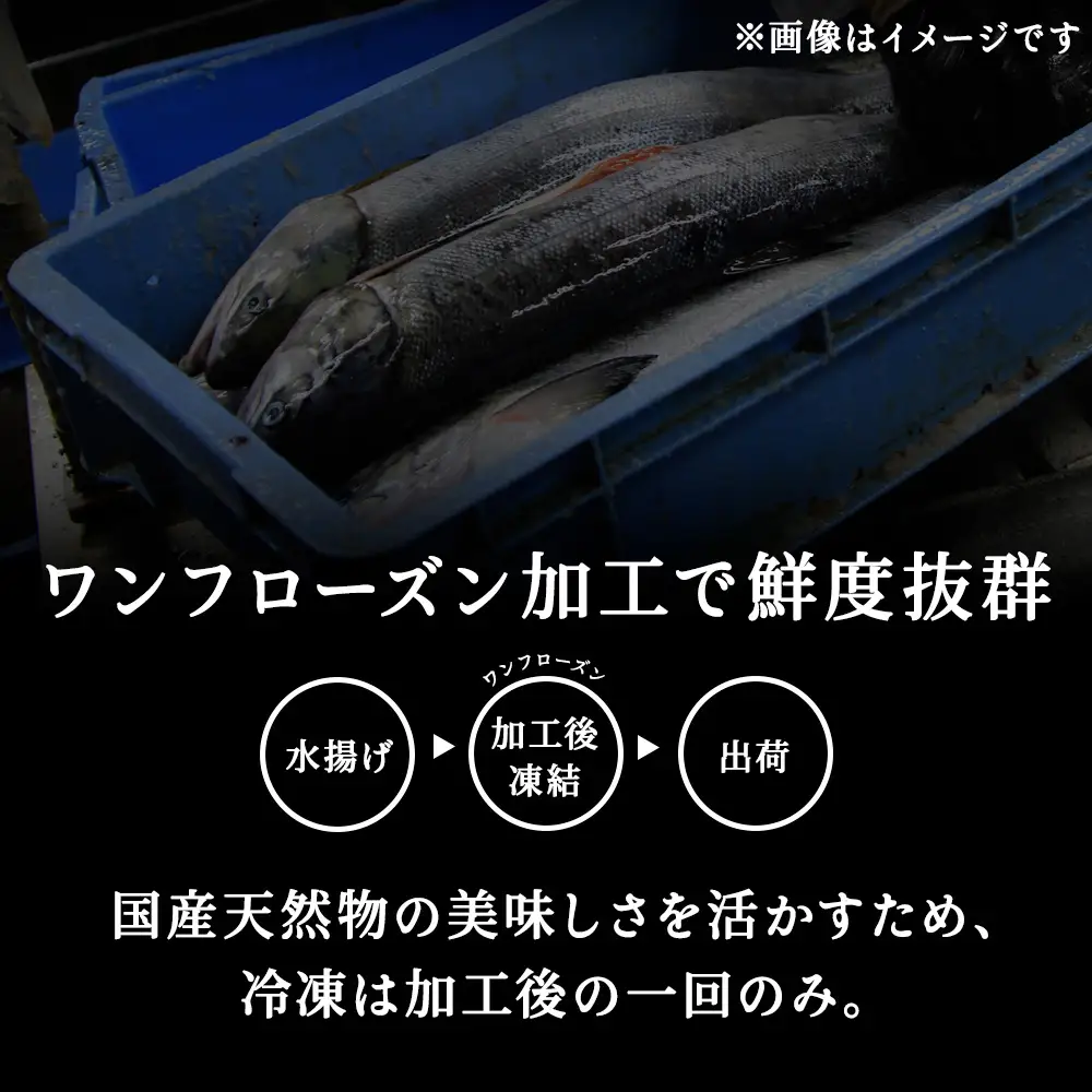 鮭ステーキ 1切約180g×５パック