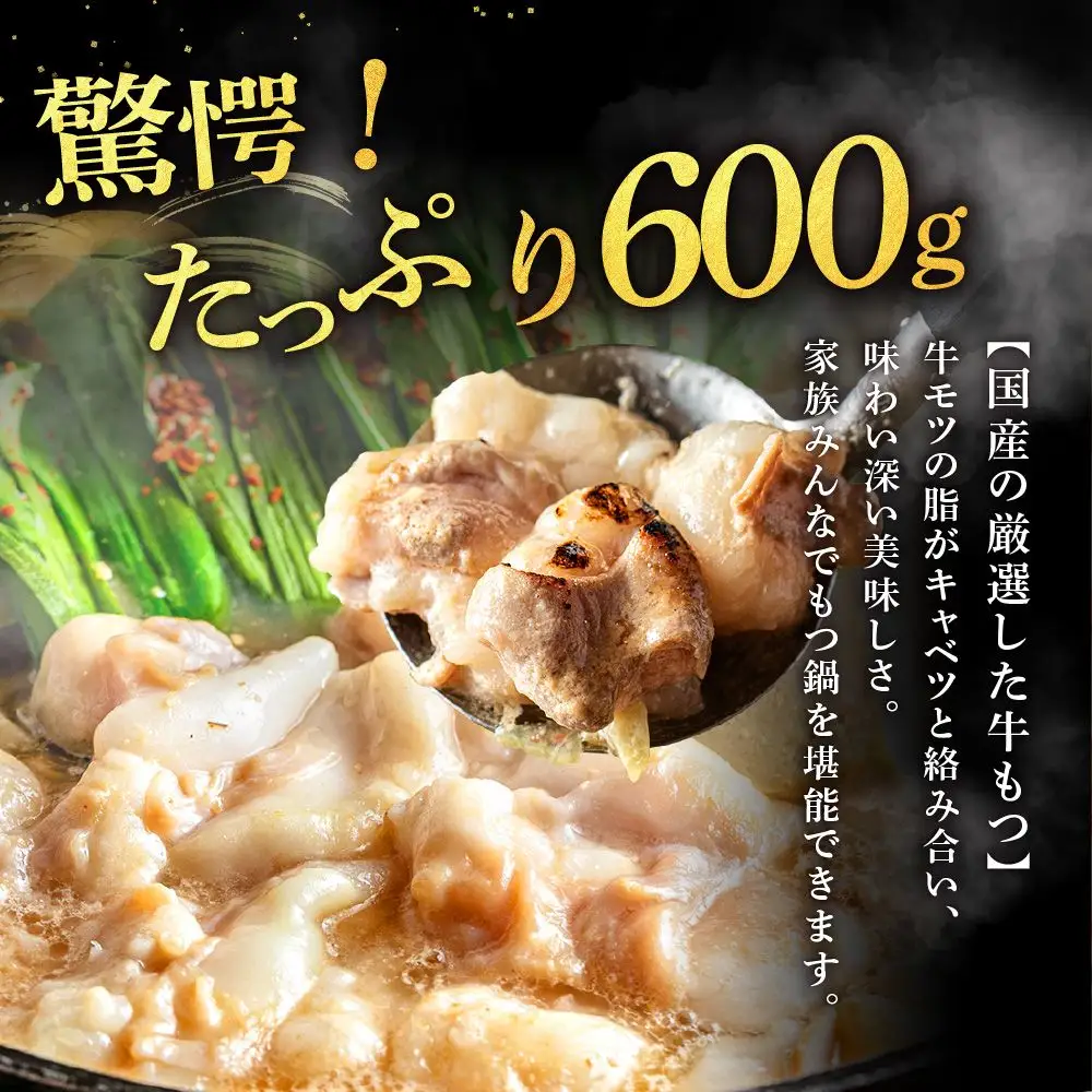 魚住商店特製 国産牛もつ使用 塩もつ鍋セット(4～6人前)【魚住商店】_HA2000 〆のチャンポン麺付き 国産モツ鍋 鍋 ホルモン 肉 もつ 国産もつ鍋 塩もつ鍋 塩モツ鍋 出汁つき 小分け 個包装 冷凍 惣菜 お惣菜 おかず おすすめ 福岡県宗像市