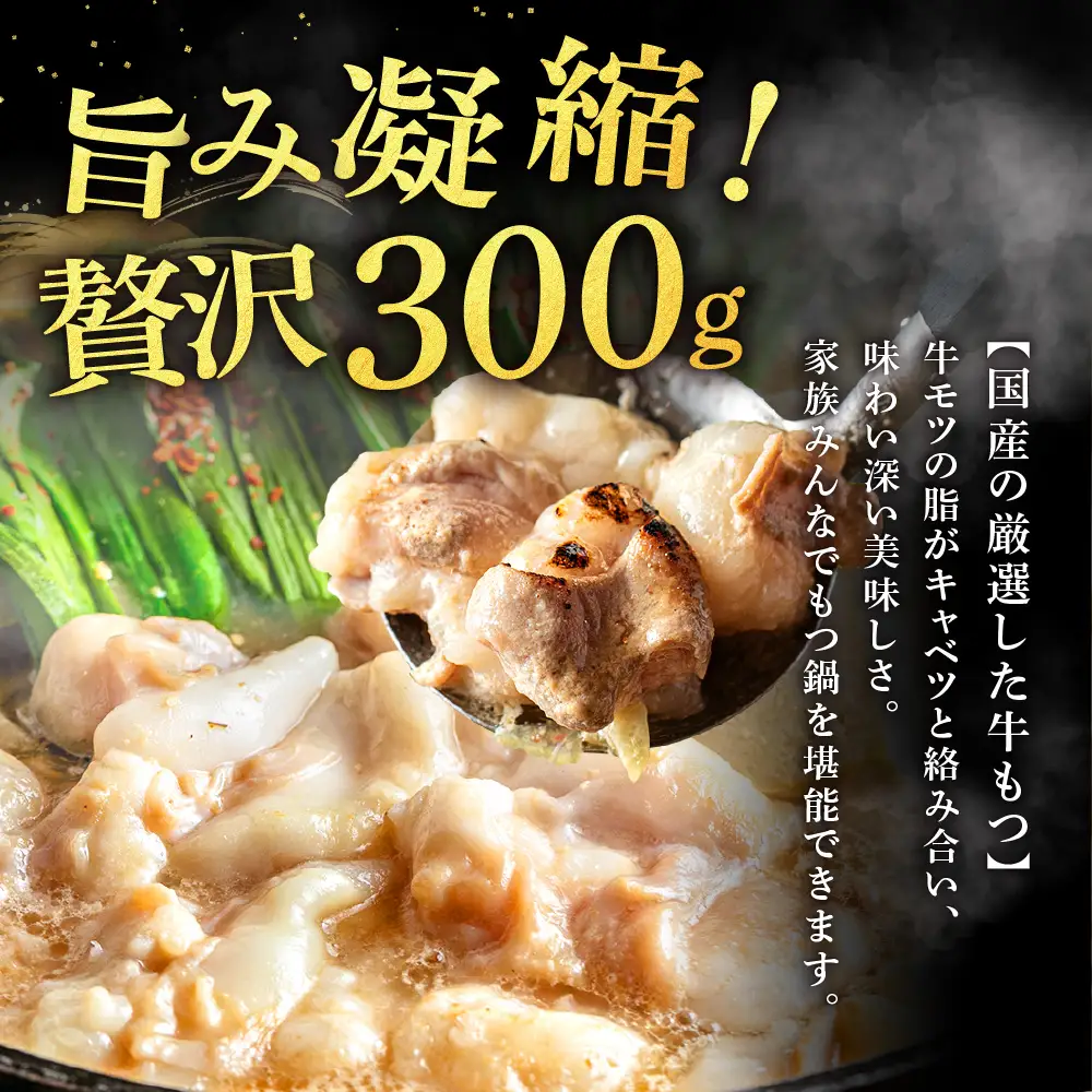 魚住商店特製 国産牛もつ使用 塩もつ鍋セット(2～3人前)【魚住商店】_HA2018 〆のチャンポン麺付き 国産モツ鍋 鍋 ホルモン 肉 もつ 国産もつ鍋 塩もつ鍋 塩モツ鍋 出汁つき 小分け 個包装 冷凍 惣菜 お惣菜 おかず おすすめ 福岡県宗像市