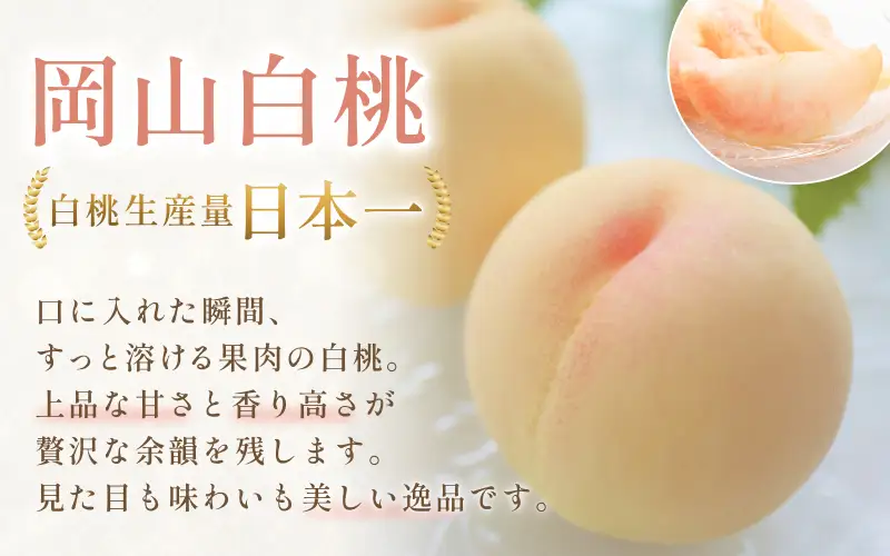 【2026年先行予約】シャインマスカット＆白桃 詰め合わせ 約3kg 岡山県産 フルーツセット ぶどう 桃 8月中旬～9月中旬順次発送【hnds012】