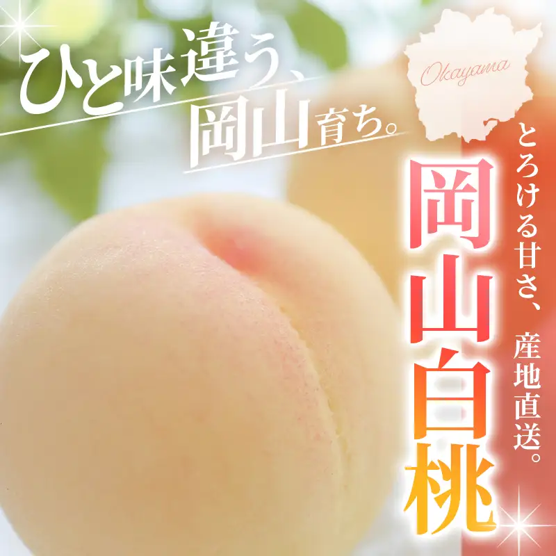 【2026年先行予約】 岡山白桃 2kg 訳アリ 白桃 花田青果【6月下旬～7月下旬まで順次発送予定】/ 桃 もも モモ 果物フルーツ 訳あり品 岡山県【hnds003】