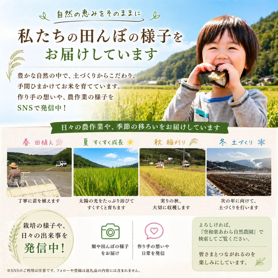 【大分県産】 自然農法 白米 5kg | 豊後高田市