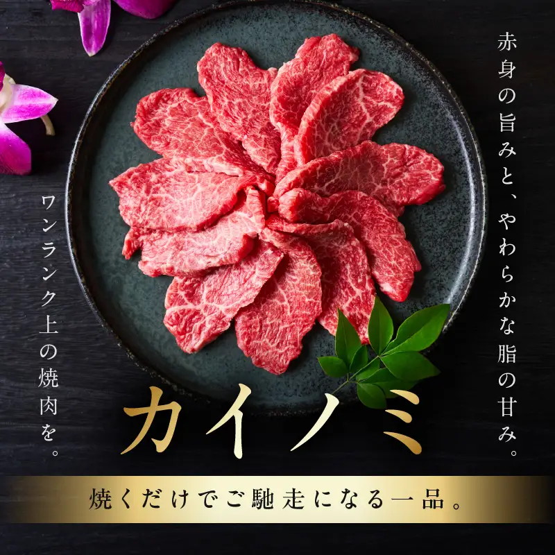 【氷温熟成×極味付け】黒毛和牛 カイノミ 焼肉用 300g