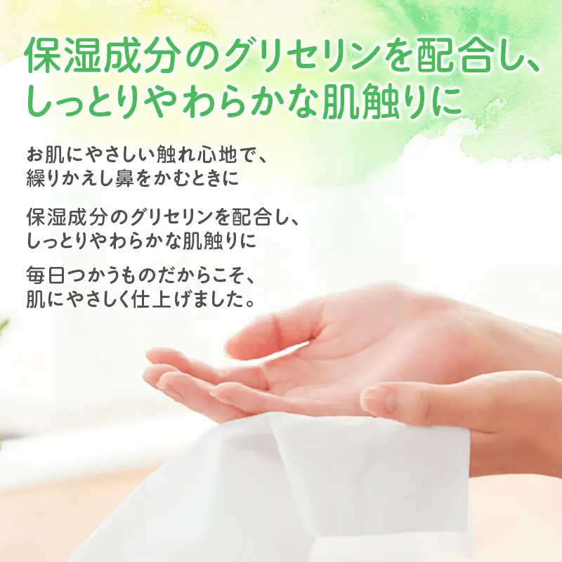 【2回お届け 計60箱】エリエール 北海道 しっとりティシュー なまらたっぷり 240組3箱 10パック ふるさと納税限定デザイン ボックスティシュー 箱ティッシュ ペーパー 備蓄品 花粉 保湿成分 グリセリン配合