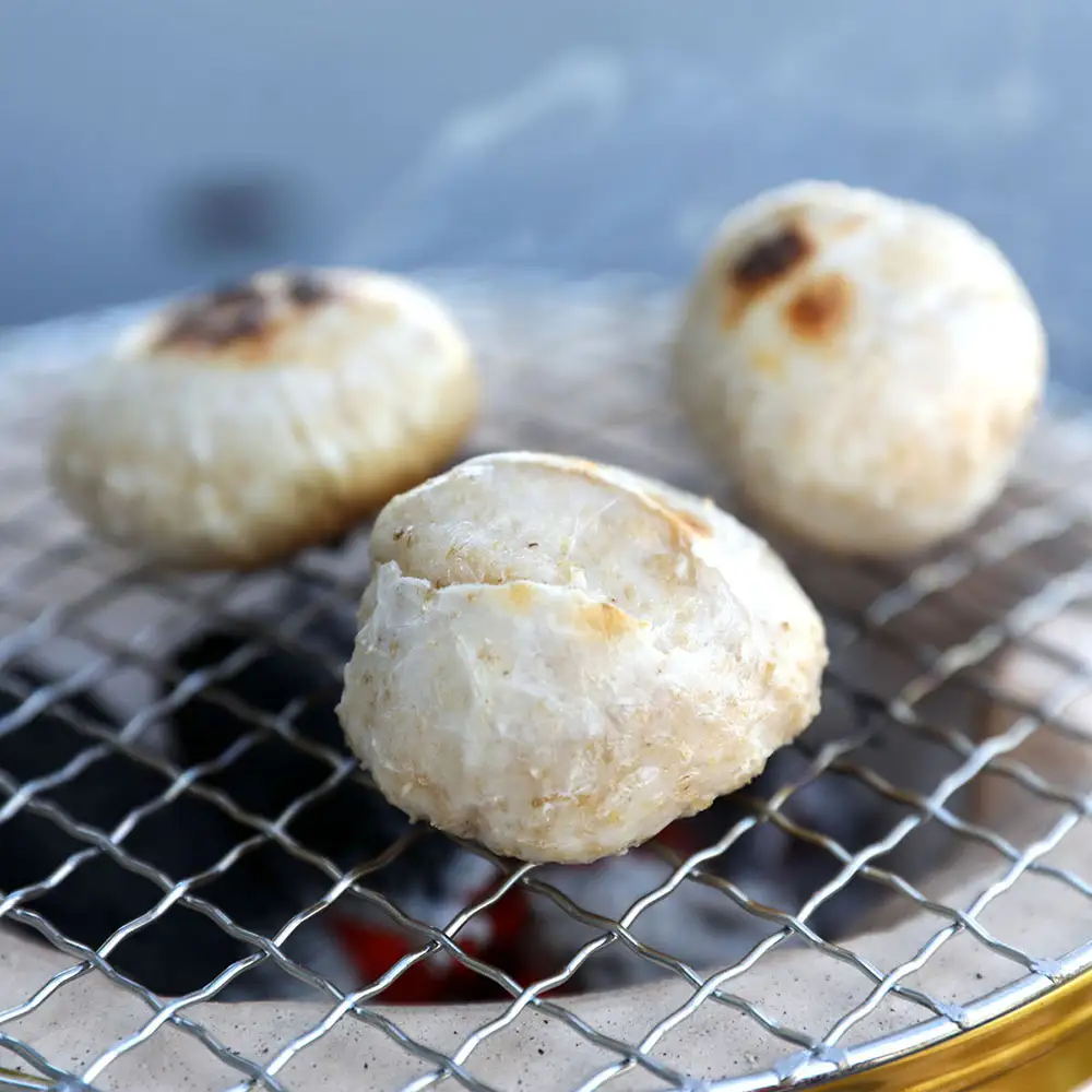 【R9.1月発送】庄内町産 もち玄健 450g×1袋 玄米100% 先行受付 ロカボで罪悪感のないおもち つぶつぶ食感 柔らかく よく伸びる 梅木もち屋 個包装 小さめ 玄米餅 ヘルシー【入金期限：2026年12月20日】