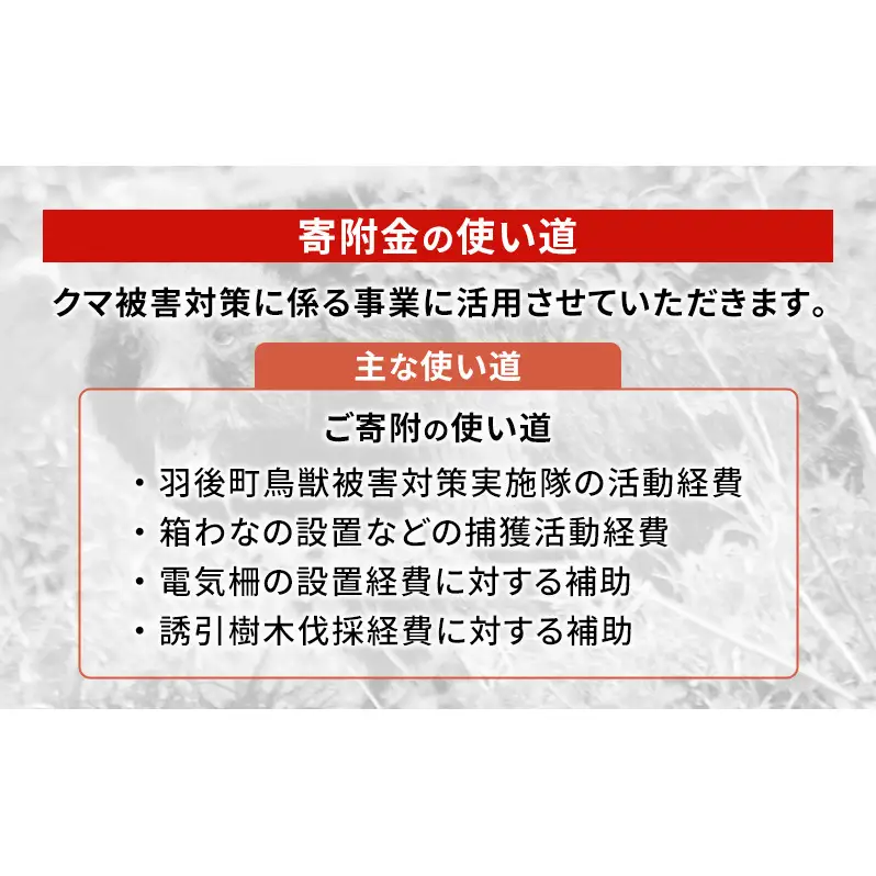 【返礼品なし】クマ被害対策支援（秋田県羽後町）7,000円 応援 支援 寄附のみ【羽後町ふるさと納税】
