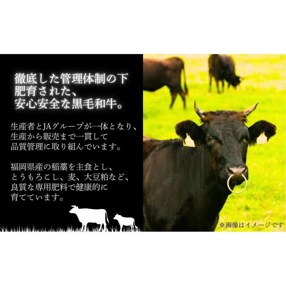 博多和牛 ロースステーキ 400g