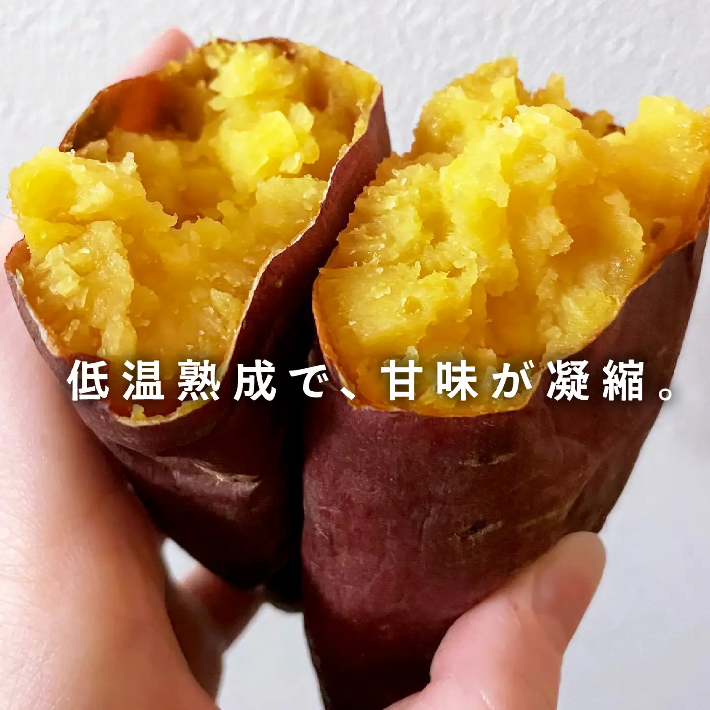 【先行予約】さつまいも 冷やし 壺 焼きいも 5本 約1.3kg / さつまいも 