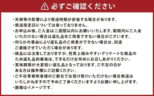 岡山県産 黄金桃 6玉 （ 1玉 240g以上 ） 香り 甘味 酸味 完熟 果皮 くだもの 果物 果実 国産 果汁 糖度 果肉 フルーツ もも モモ 桃 黄金 【 2026年9月上旬～9月下旬発送予定 】