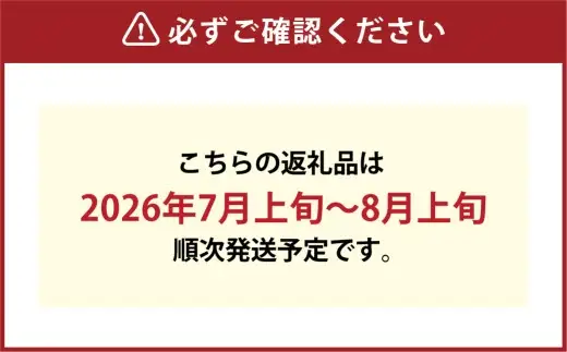 岡山白桃＆シャインマスカット セット大 詰め合わせ 白桃 シャインマスカット 桃 もも モモ ぶどう 葡萄 ブドウ マスカット 贈り物 贈答 くだもの 果物 フルーツ 果実 【 2026年7月上旬～8月上旬発送予定 】