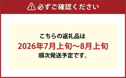 つる付き！ ニューピオーネ ＆ 晴王 シャインマスカット Cセット ハウス栽培 ブドウ ぶどう 葡萄 果物 くだもの フルーツ 果実 マスカット 食べ比べ 【 2026年7月上旬～8月上旬発送予定 】