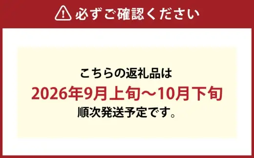 つる付き！ ニューピオーネ ＆ 晴王 シャインマスカット Aセット 露地栽培 ブドウ ぶどう 葡萄 果物 くだもの フルーツ 果実 マスカット 食べ比べ 【 2026年9月上旬～10月下旬発送予定 】