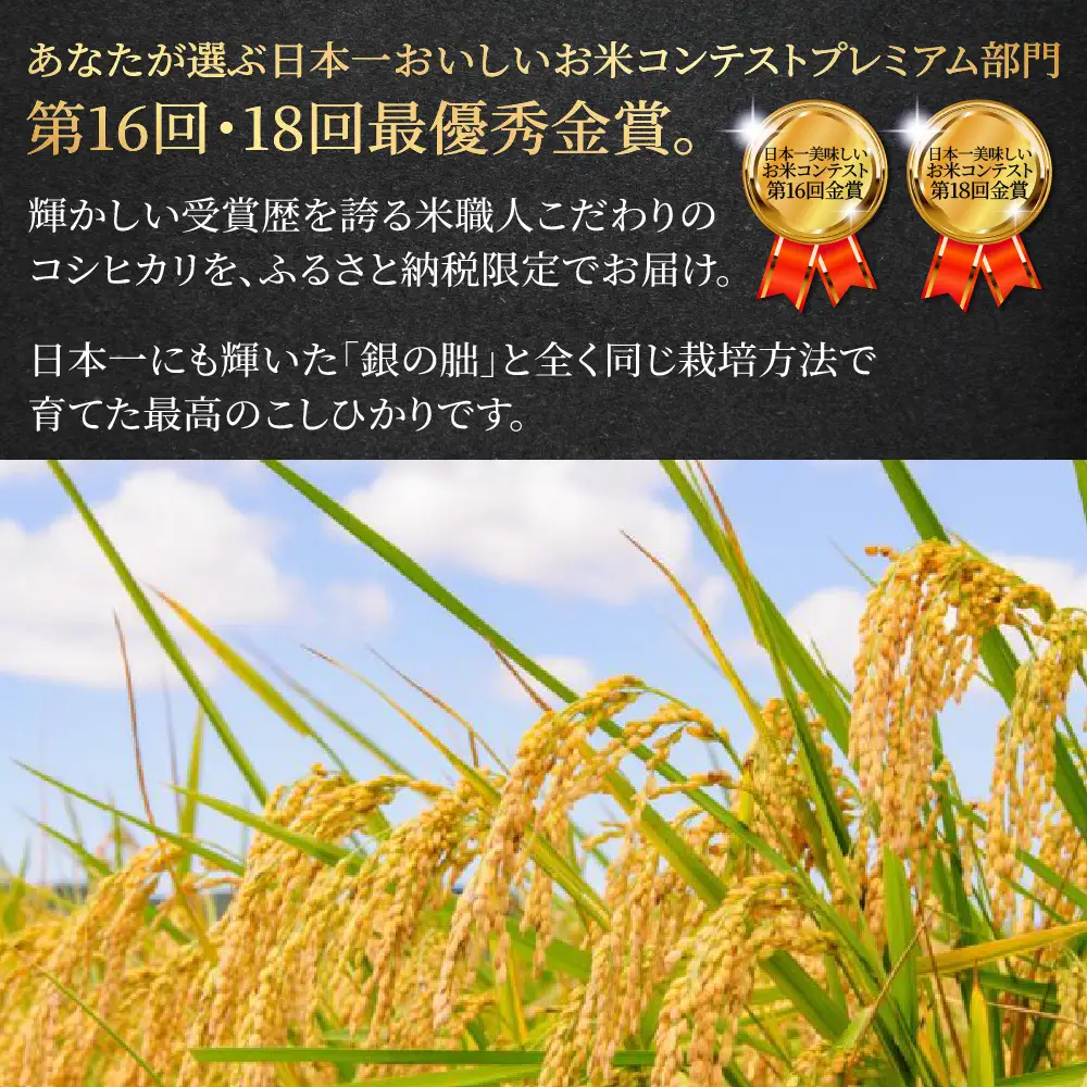 即納≪7営業日以内に発送≫【2025年産米】こしひかり 雅の舞 3kg ≪ふるさと納税限定≫【119-6】