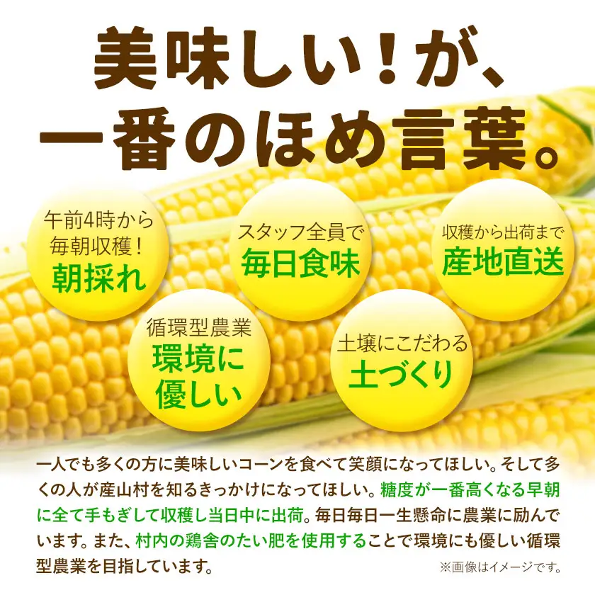 《先行受付開始》産地直送 とうもろこし 朝採れ スイートコーン ゴールドラッシュ 3本セット 城本農園《2026年7月中旬-8月中旬頃出荷》