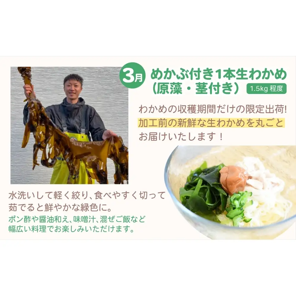 【全4回定期便】鳴門大毛島わかめ・らっきょうセット（1/3/5/7月）
