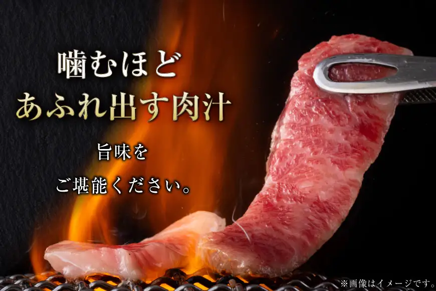 肉 カルビステーキ 500g 2p 計 1kg [上球磨農産 熊本県 五木村 51120363]
