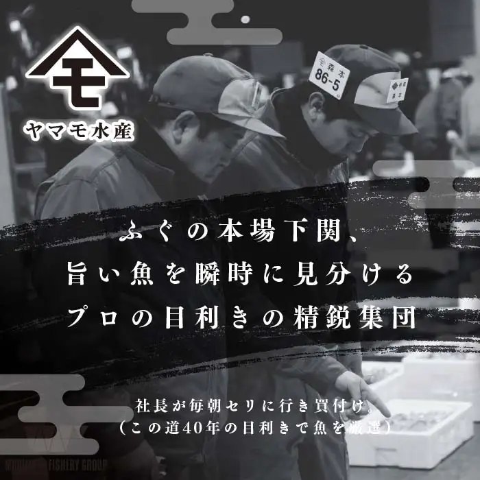 天然 真ふぐ刺身 満足セット 4～5人前 120g 冷凍 ふぐ FR