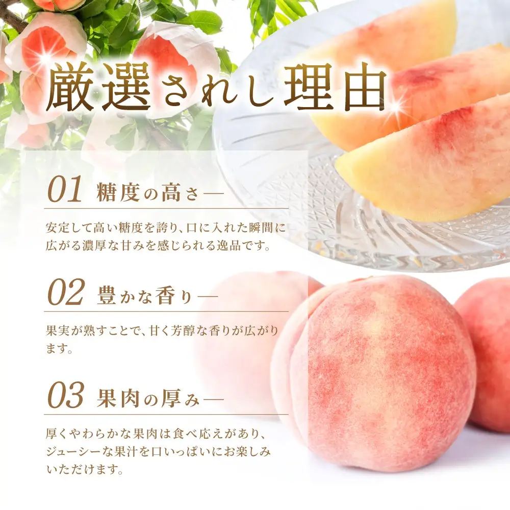 数量限定先行予約！川中島白桃　約2kg 6個入 100個に1個の特選最上級秀品！＜2026年7月末から8月末順次発送＞【BK-kgr036】