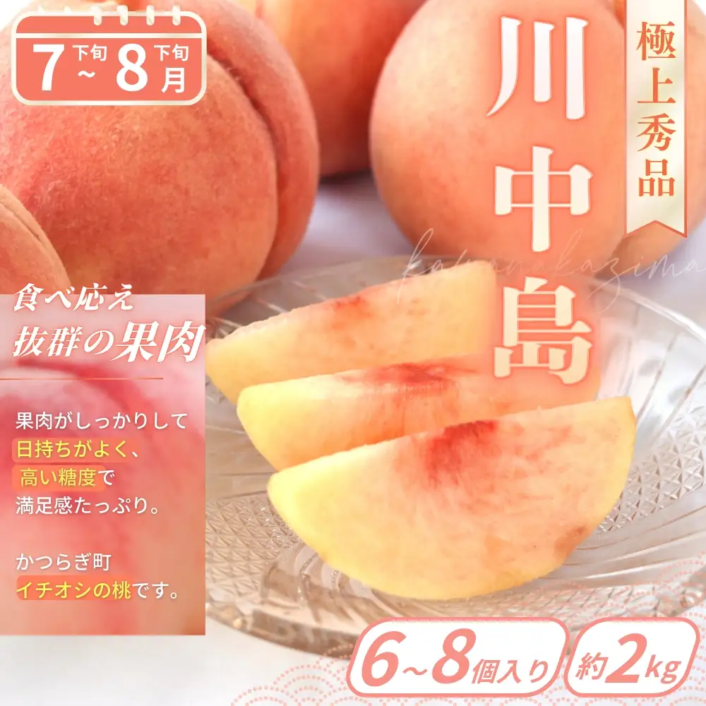 【定期便】桃好き必見！かつらぎの自慢の桃 白鳳＆川中島 食べ比べセット 各約2kg ～全2回お届け～ 【BK-kgr041】