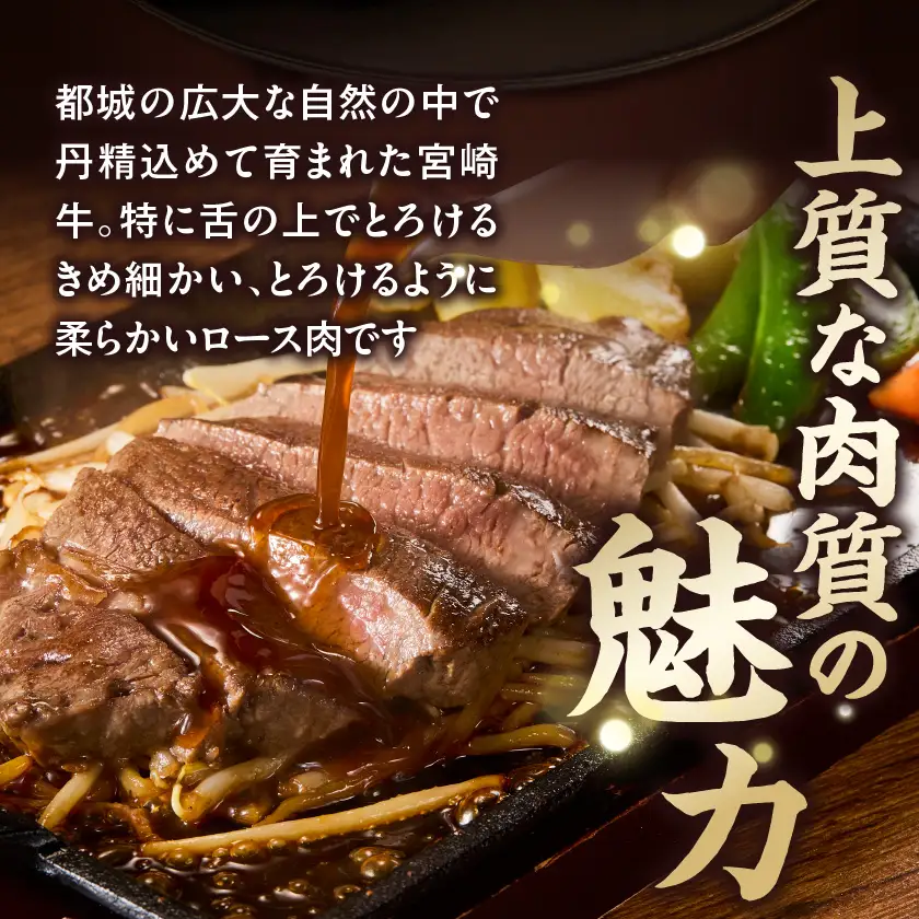宮崎牛ロースステーキ2枚(450g)〔14H-84-012-2〕