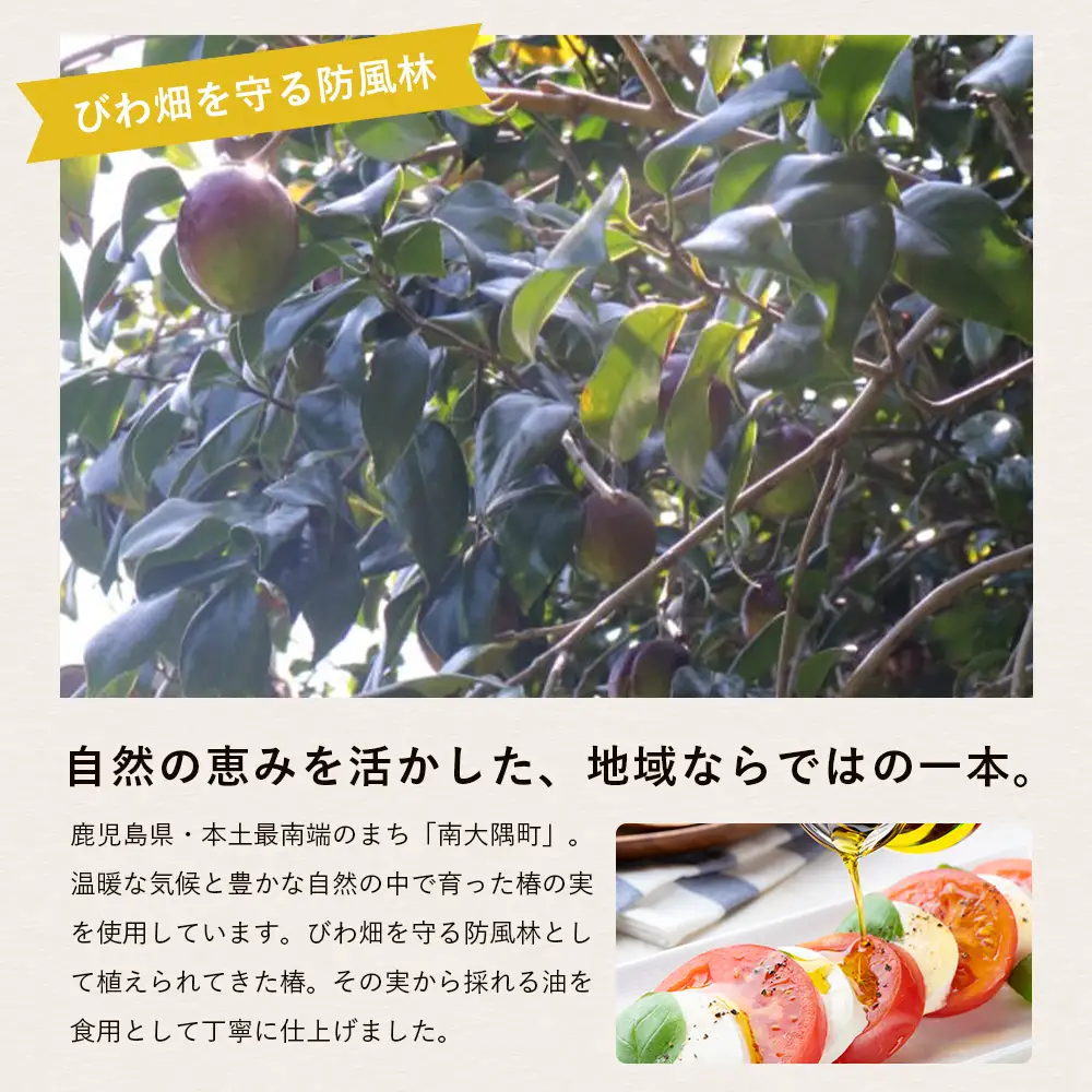 【数量限定】本土最南端のまち・南大隅町で採れた希少な「椿油」300ml×１本 TO-25｜食用椿油 国産 ツバキ油 つばき油 椿油 油 オイル セット ドレッシング 純粋椿油 炒め油 揚げ油 調味油 鹿児島県 南大隅町 十津川農場