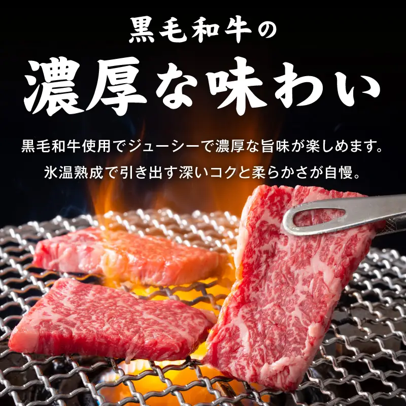 【氷温熟成×極味付け】黒毛和牛 バラ 焼肉用 900g
