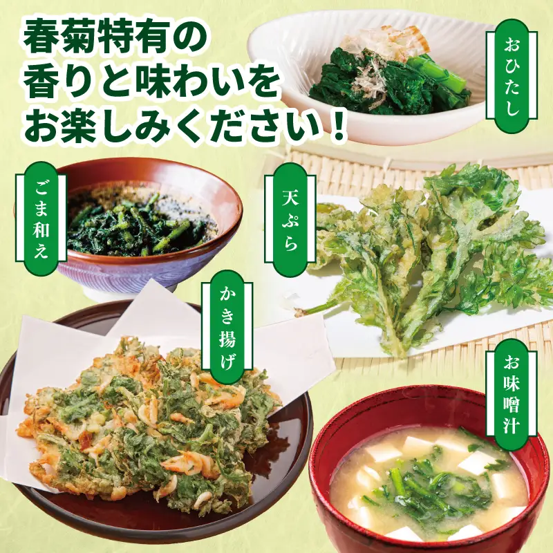 【先行予約】TONOファーム 春菊 6袋（合計900g以上）