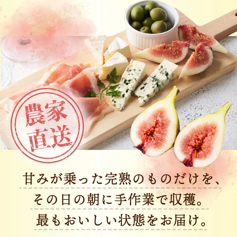 【先行予約】【農家直送】朝採り 完熟いちじく 700g以上