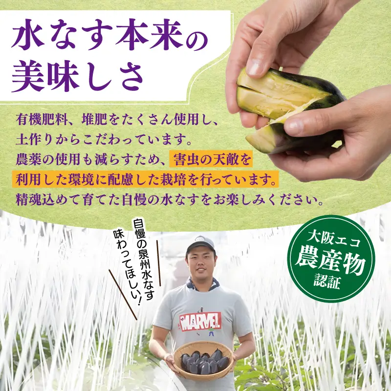 【先行予約】朝採り直送 徳用水なす 15個 訳あり 規格外