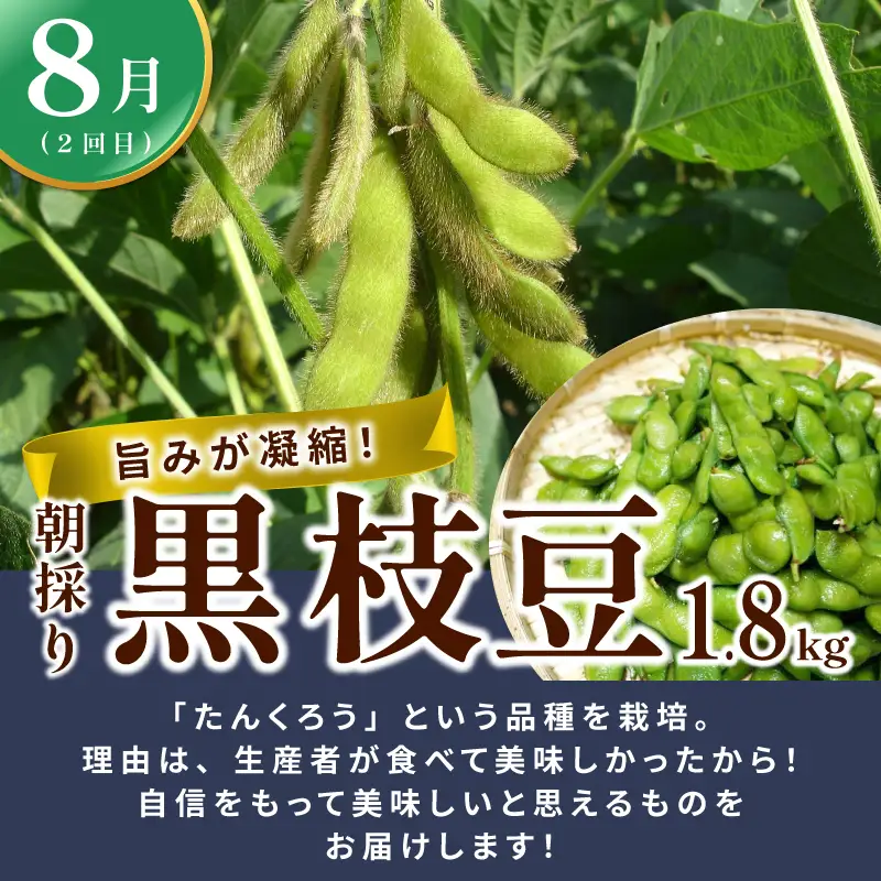 【定期便】泉州TONOファームが贈る定期便 野菜とフルーツの旬の味リレー