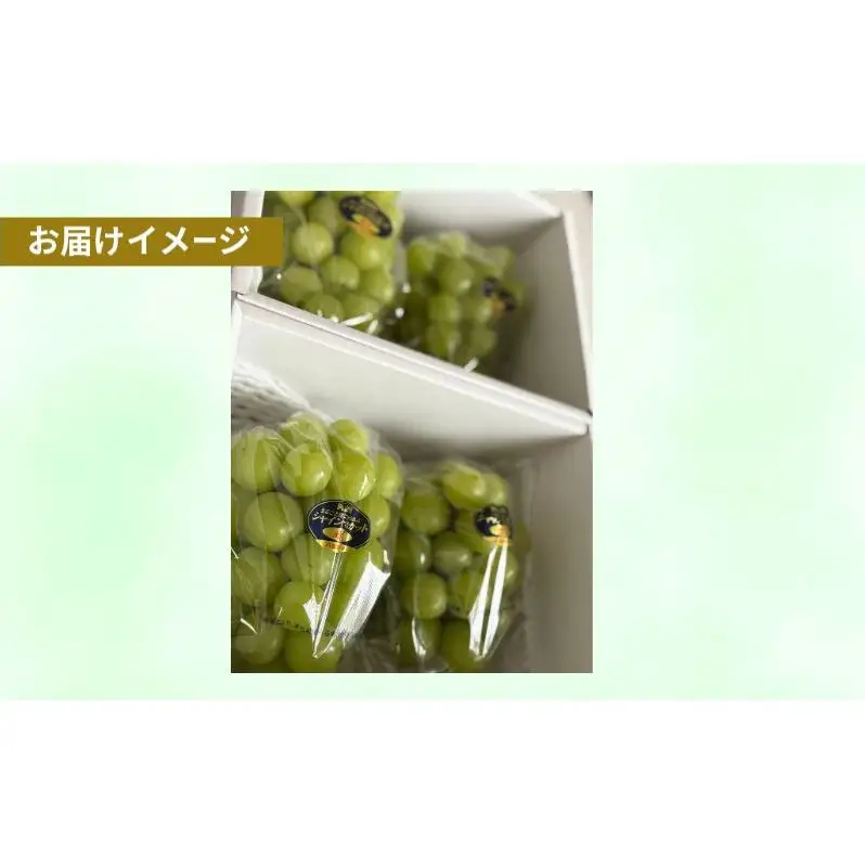 シャインマスカット晴王 岡山県産 約1kg(2房) 果物 フルーツ ぶどう ブドウ 葡萄 国産 岡山